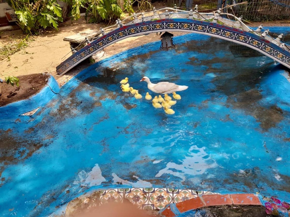 La Posada Del Sol Villa Gesell Zewnętrze zdjęcie