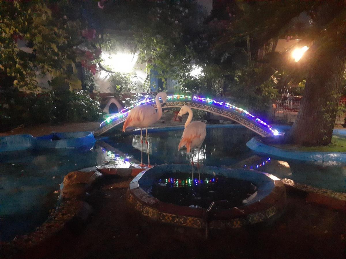 La Posada Del Sol Villa Gesell Zewnętrze zdjęcie
