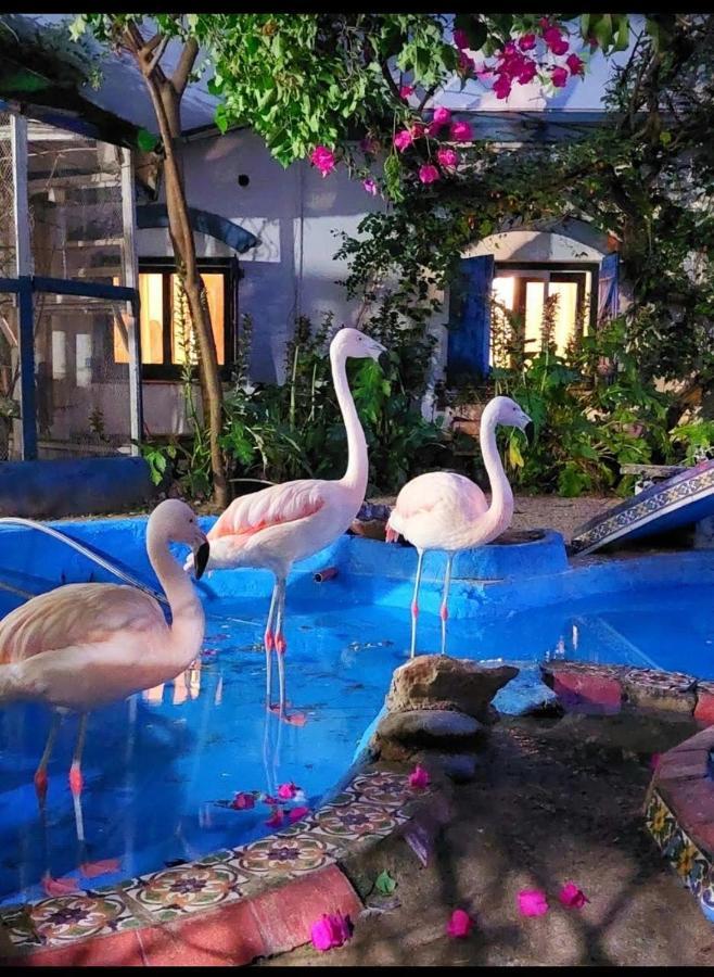 La Posada Del Sol Villa Gesell Zewnętrze zdjęcie